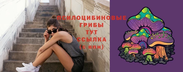 таблы Бородино